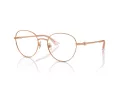 Jimmy Choo JC 2004HB 3008 52 Women glasses