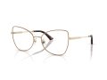 Jimmy Choo JC 2006 3019 55 Women glasses