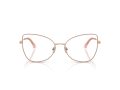 Jimmy Choo JC 2006 3020 55 Women glasses
