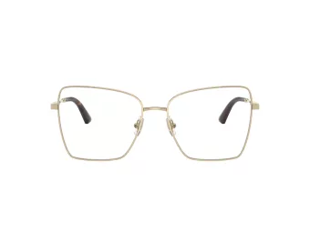 Jimmy Choo JC 2007 3006 55 Women glasses