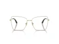 Jimmy Choo JC 2007 3006 55 Women glasses