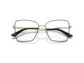 Jimmy Choo JC 2007 3015 55 Women glasses