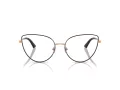 Jimmy Choo JC 2008 3022 56 Women glasses