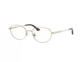 Jimmy Choo JC 2009D 3006 51 Women glasses