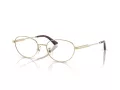 Jimmy Choo JC 2009D 3006 51 Women glasses