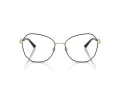 Jimmy Choo JC 2011 3010 53 Women glasses