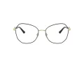 Jimmy Choo JC 2011 3010 55 Women glasses