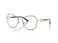 Jimmy Choo JC 2011 3010 55 Women glasses
