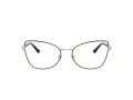 Jimmy Choo JC 2012 3010 55 Women glasses