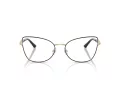 Jimmy Choo JC 2012 3010 55 Women glasses