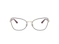Jimmy Choo JC 2012 3025 53 Women glasses