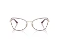 Jimmy Choo JC 2012 3025 55 Women glasses