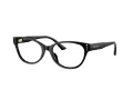 Jimmy Choo JC 3003BU 5000 54 Women glasses