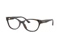 Jimmy Choo JC 3003BU 5002 52 Women glasses