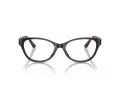 Jimmy Choo JC 3003BU 5002 52 Women glasses