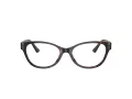 Jimmy Choo JC 3003BU 5002 54 Women glasses