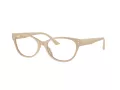 Jimmy Choo JC 3003BU 5015 52 Women glasses