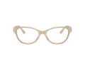Jimmy Choo JC 3003BU 5015 54 Women glasses