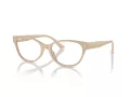 Jimmy Choo JC 3003BU 5015 54 Women glasses