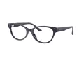 Jimmy Choo JC 3003BU 5016 52 Women glasses