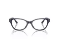 Jimmy Choo JC 3003BU 5016 54 Women glasses