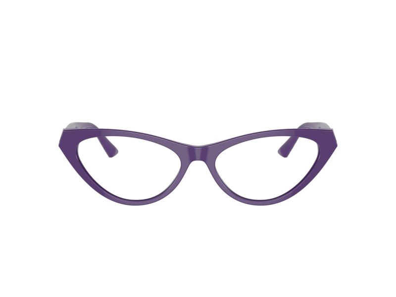 Jimmy Choo JC 3005 5050 53 Women glasses