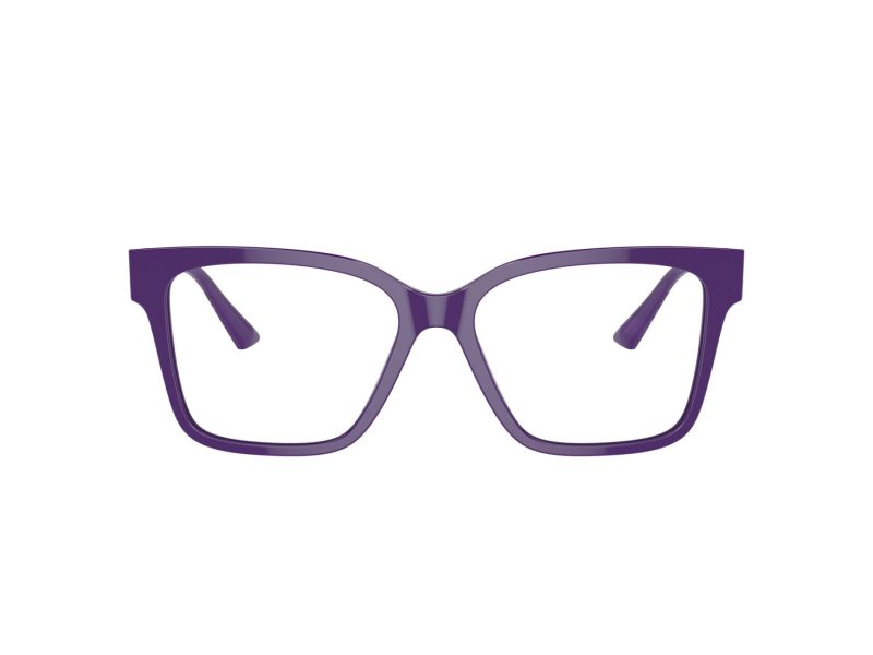 Jimmy Choo JC 3006U 5050 55 Women glasses