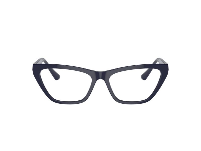 Jimmy Choo JC 3014 5023 54 Women glasses
