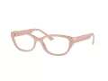 Jimmy Choo JC 3015 5014 55 Women glasses