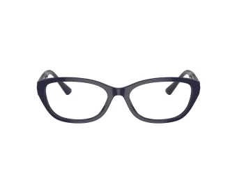 Jimmy Choo JC 3015 5023 53 Women glasses