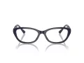 Jimmy Choo JC 3015 5023 53 Women glasses