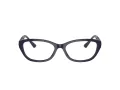 Jimmy Choo JC 3015 5023 55 Women glasses