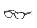 Jimmy Choo JC 3015 5023 55 Women glasses