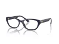 Jimmy Choo JC 3015 5023 55 Women glasses
