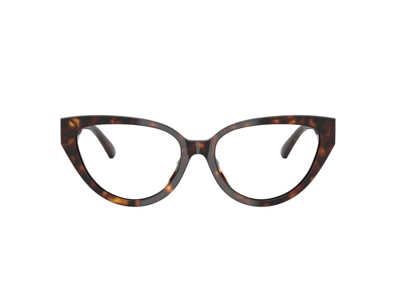 Jimmy Choo JC 3023HU 5002 53 Women glasses