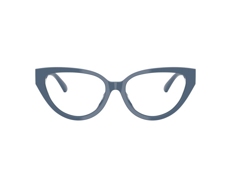 Jimmy Choo JC 3023HU 5020 55 Women glasses