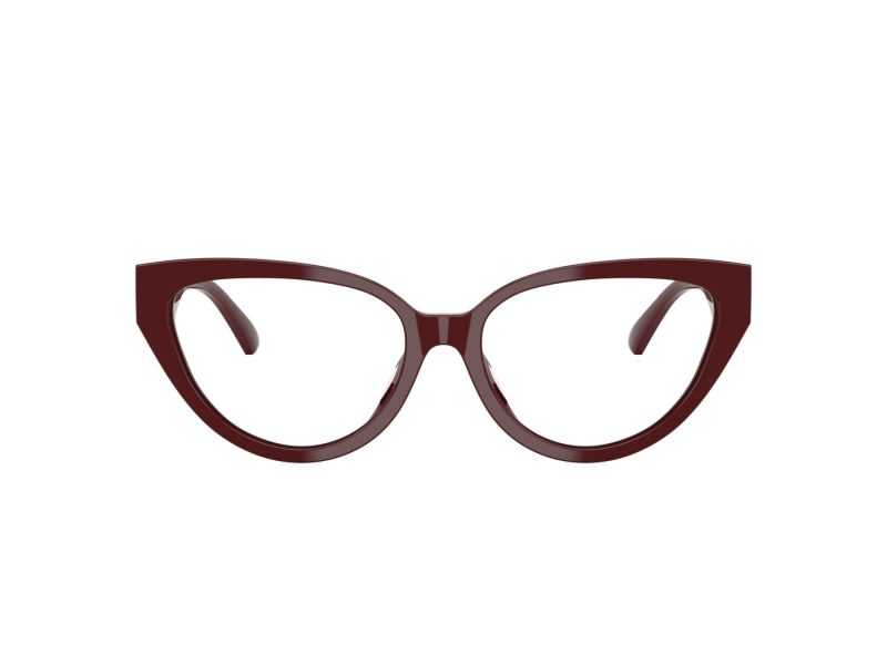 Jimmy Choo JC 3023HU 5057 53 Women glasses