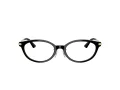 Jimmy Choo JC 3029D 5000 52 Women glasses