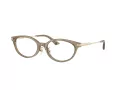 Jimmy Choo JC 3029D 5051 52 Women glasses