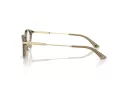 Jimmy Choo JC 3029D 5051 52 Women glasses
