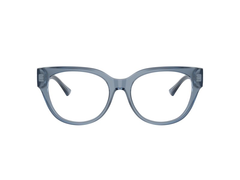 Jimmy Choo JC 3035 5067 53 Women glasses