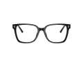 Jimmy Choo JC 3038D 5000 54 Women glasses