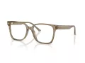 Jimmy Choo JC 3038D 5051 54 Women glasses