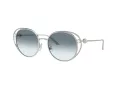 Jimmy Choo JC 4003HB 300219 53 Women sunglasses