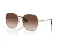 Jimmy Choo JC 4008HD 300613 59 Women sunglasses