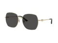 Jimmy Choo JC 4008HD 300687 59 Women sunglasses