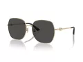 Jimmy Choo JC 4008HD 300687 59 Women sunglasses