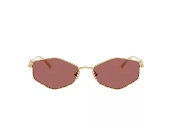 Jimmy Choo JC 4017 302369 55 Women sunglasses