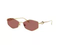 Jimmy Choo JC 4017 302369 55 Women sunglasses