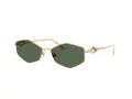 Jimmy Choo JC 4017 302371 55 Women sunglasses